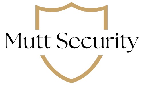 Car Security in Plano TX